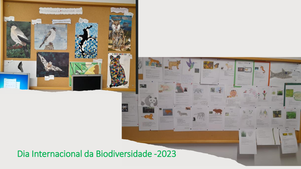 Dia Internacional da Biodiversidade